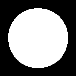 Filled circle.