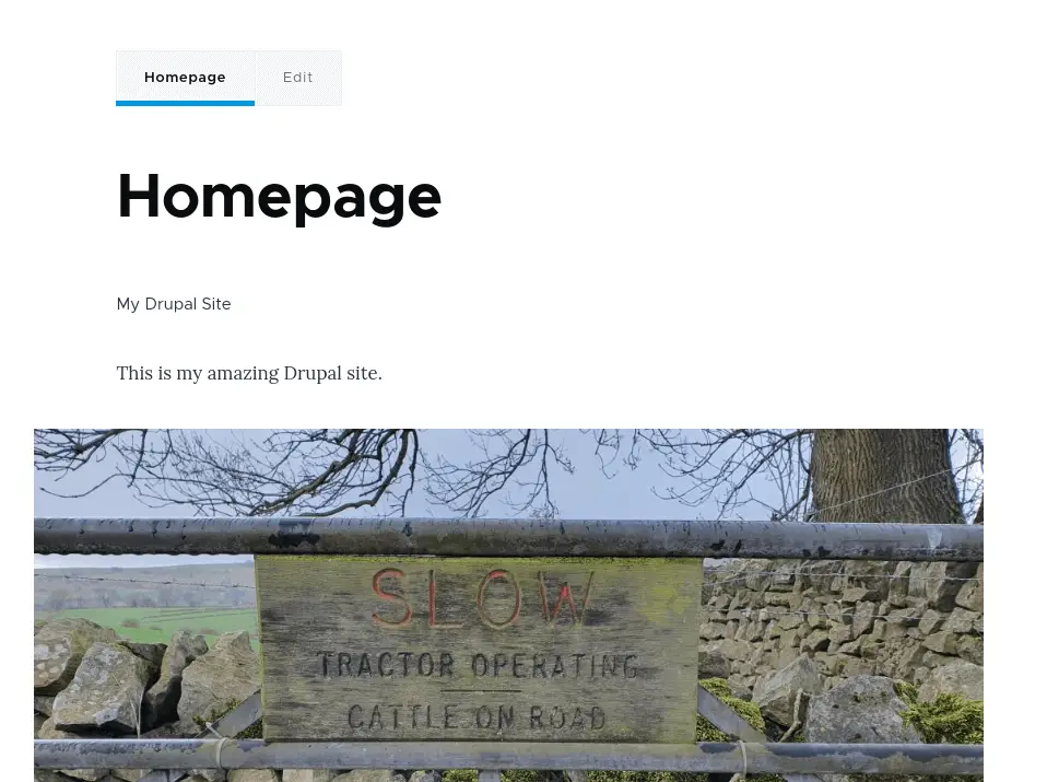 A Drupal site showing the fully built homepage.
