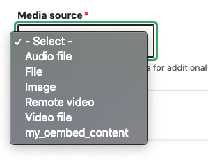 A screenshot of the Drupal media source selection dialog, showing a custom oEmbed provider.
