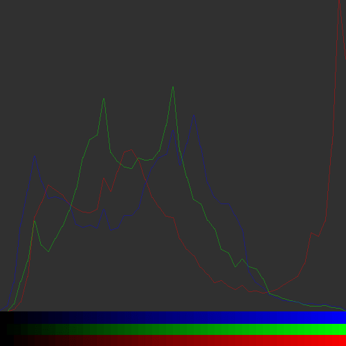 A segmented histogram created from an image of a red mushroom within some green leaves.