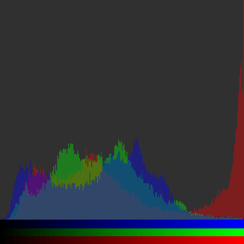A histogram created from an image of a red mushroom within some green leaves.