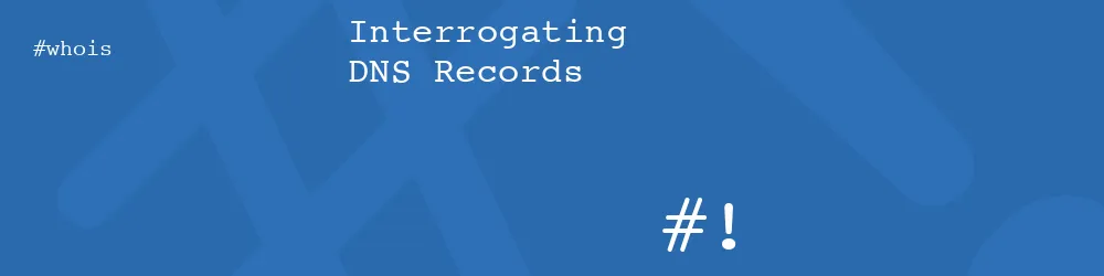 Interrogating DNS Records