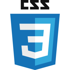 CSS Logo